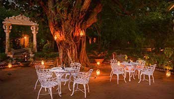Bush Dinner