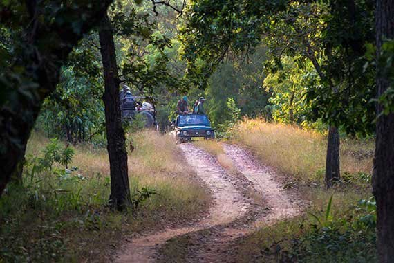 Activities at Syna Tiger Resort